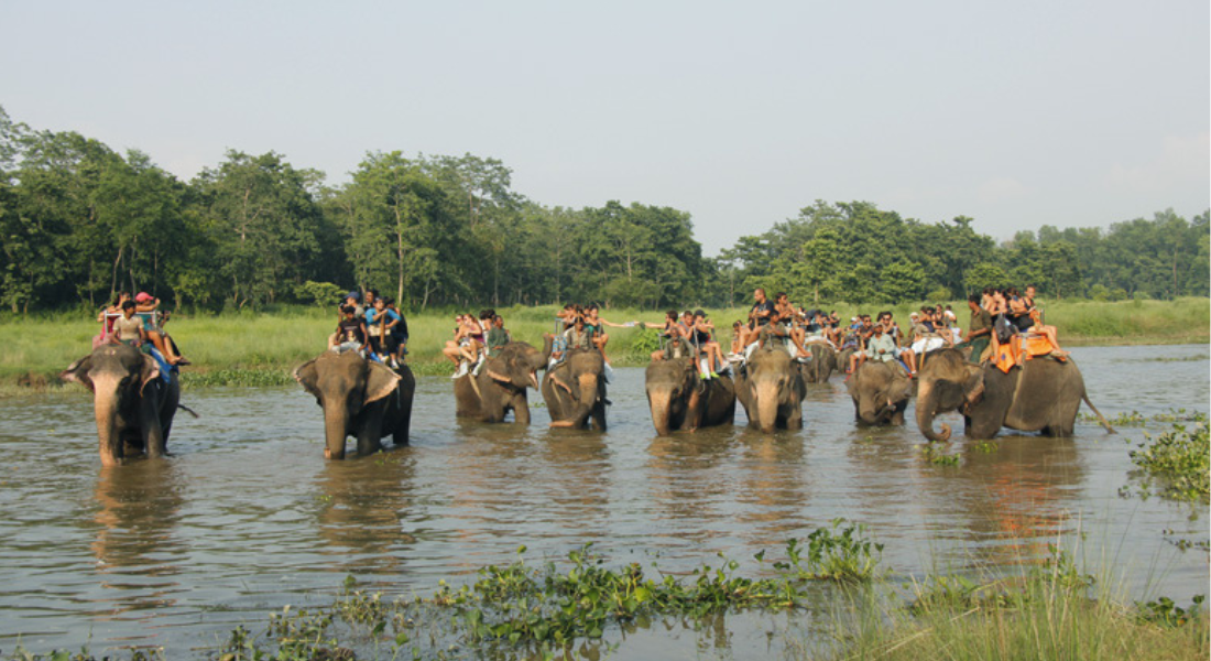 Chitwan Jungle Safari